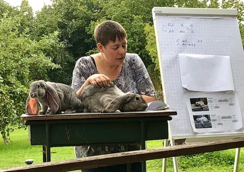 En foredragsholder står bak et bord med to chinchillafargede engelske veddere, ved siden av en flippover med paringsskjema og bilder
