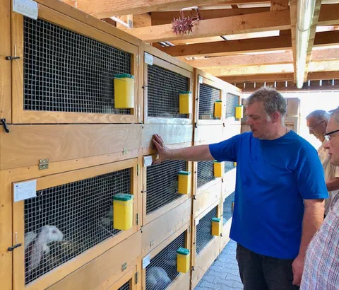En oppdretter i blå T-skjorte viser fram en rekke kaninbur av tre med gitterdører og gule fôrbeholdere under et tretak
